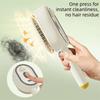 Multi-Function Electric Spray Hair Brush Hair Care 2-In-1 Misting Hair Brush  Gift