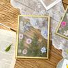 4 Inch 6 Inch Diy Glass Photo Frame Handmade Creative Simple Dried Flower Picture Frame Minimalist Table Ornament