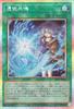 Yu-Gi-Oh! Possessed Resonance Secret Blazing Dominion Normal Spell Card (Prismatic Rare) (BLZD)
