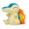 Original Plush Toy from Pokemon Center Fit Hinoarashi 12.5158 (HWD Cm)