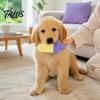 Pet Cooling Summer Essentials Dog Chew Toy, Popsicle Ice Freezer Donut Shape Durable Rubber Teething Toy Teeth Cleaning Reusable Freeze for