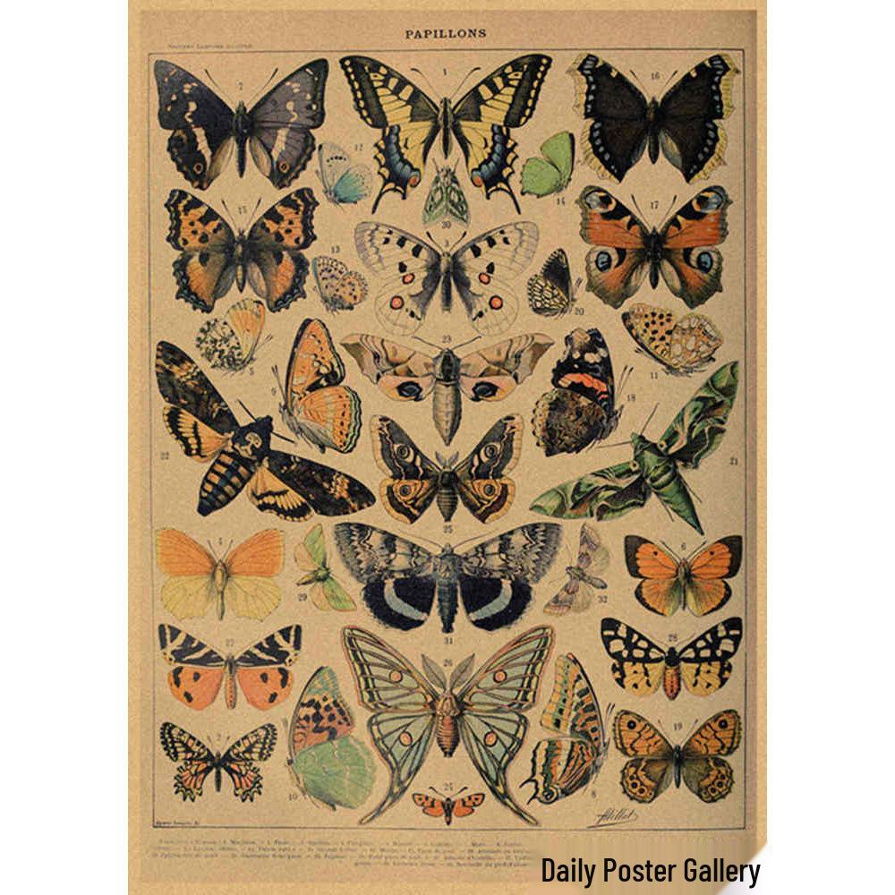 Retro Schmetterlings-Illustrationsposter: Handbemalte Tier-Wandkunst im Vintage-Stil, europäisch & amerikanisch