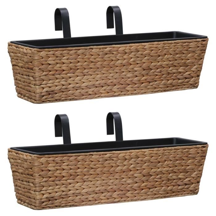 VidaXL Jardinières 2 pcs Jacinthe d'eau