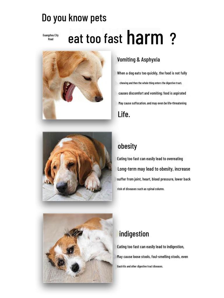 Pet Sniffing Mat - Slow Feed Dog Blanket with Squeaky Flower Design for Puppies and Small To Medium Dogs