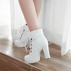 Fashion 2025 Winter New High-Heeled Coarse Heel Platform Ankle Boots Frenulum Waterproof Thick Bottom White Women Ankle Boties Zapatos