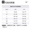 Nike Sabrina Fleece Basketball Hoodie FV3206-664