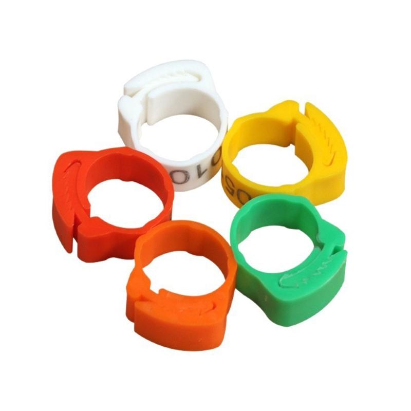 100 Pezzi Forti Marcatori in Plastica per Zampe per Polli e Anatre in 5 Colori Diversi