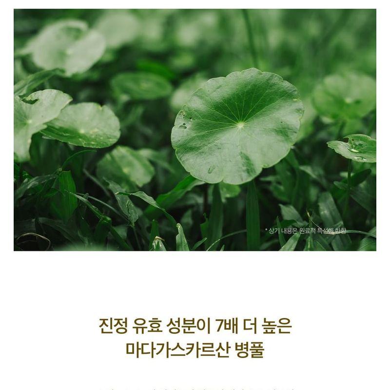 SKIN 1004 - Madagascar Centella Ampoule Kit