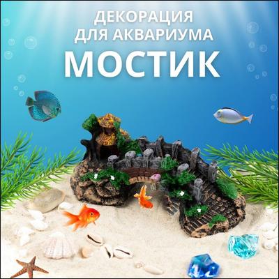 Balık & Akvaryum Hayvanları – Akvaryum dekorasyonları