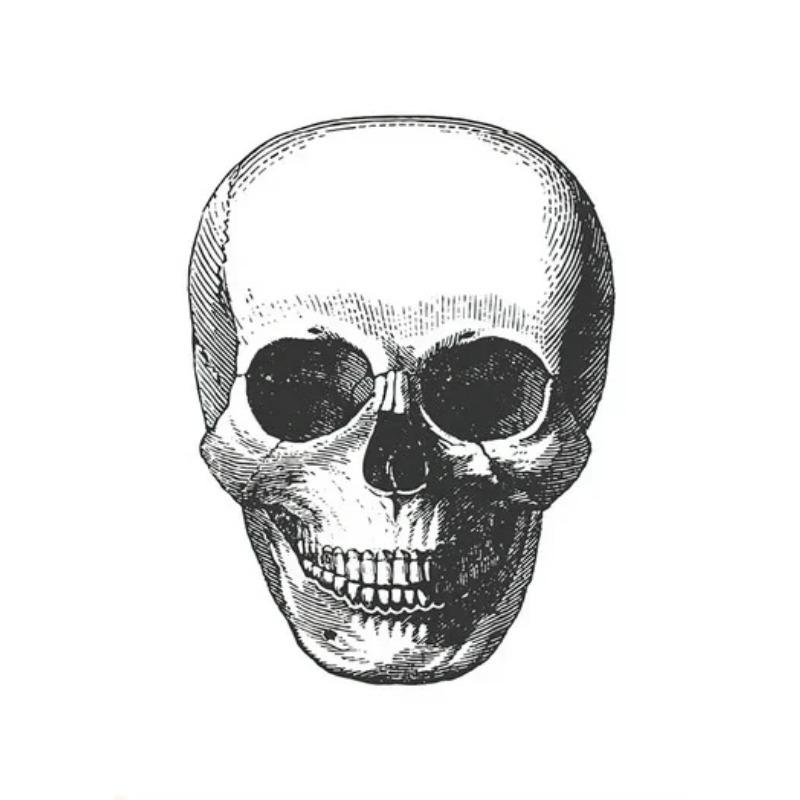 Nordic Simple Wall Art Halloween Skull Witch, HD Canvas Print Poster, Home Living Room Bedroom Decorative Painting