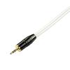 XLR Cable, Microphone Cable, Canon Conversion Cable, Audio Cable, Stereo Cable, 3.5mm Plug (Male) to 2XLR Plug (Male), Stereo Mini Plug Male-Male (1m)