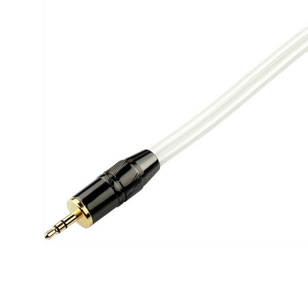 XLR Cable, Microphone Cable, Canon Conversion Cable, Audio Cable, Stereo Cable, 3.5mm Plug (Male) to 2XLR Plug (Male), Stereo Mini Plug Male-Male (1m)
