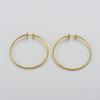 Cold Wind Minimalist Titanium Steel Large Earrings Female Wind Exaggerated Unique Personality Fashion Versatile Earrings Earrings