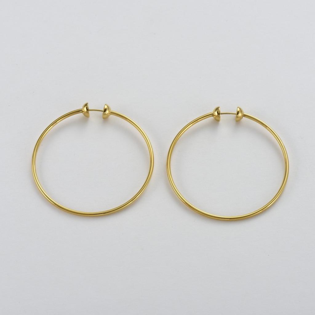 Cold Wind Minimalist Titanium Steel Large Earrings Female Wind Exaggerated Unique Personality Fashion Versatile Earrings Earrings