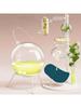 1/5/10 /20/30pcs Lutein Steam Sleep Fever Hot Compress Cartoon Moisturizing Mugwort Health Massage E