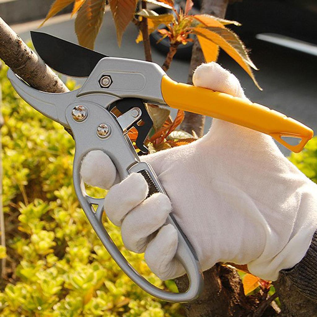 Hand Pruner Gardening Equipment Garden Pruning Shear for Park Orchard Bonsai