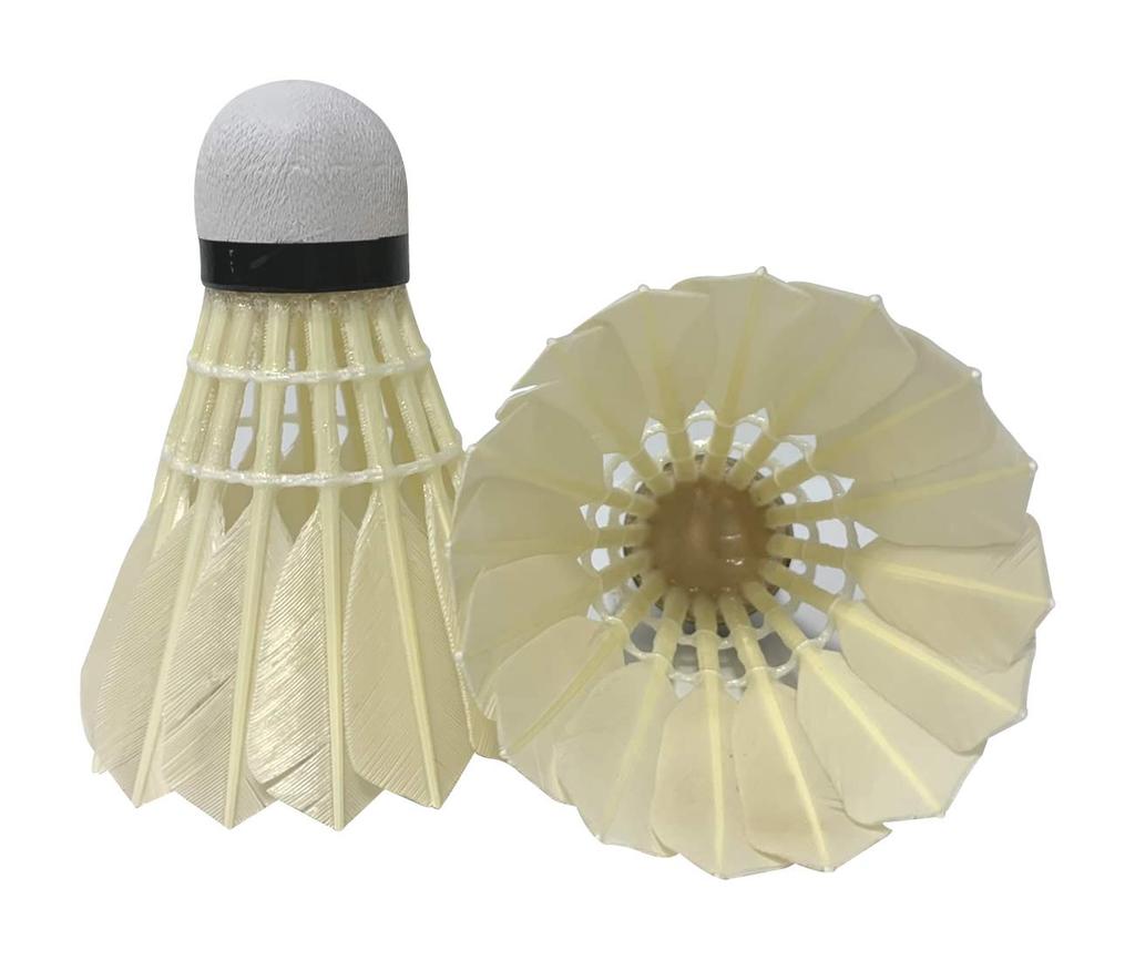 Badminton Racket Set of 2 with Shuttle for Beginners Practice Training Waterfowl Standard Yonex Case Gut Tensioned MP2 White X 2 Red Shuttle (114 +