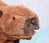 Takeoff Plush Beaver M