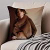 Popular fashionable Chinese singer DDanyLee Cushion Cover Pillowcase Antidustmite Invisible Zipper Short Plush Sofa Cushion