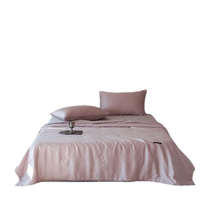 Brangdy Simple Two-Tone Ice Silk Air Conditioning Quilt