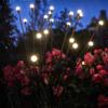 Solar Firefly Garden Stake Lights