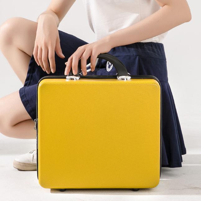 Internet Celebrity Daisy Suitcase Women's Large Capacity Makeup Bag 16 Inch Suitcase Travel Storage Box Portable Gift