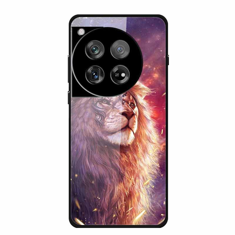 Personalized Seven-Colored Tempered Glass Phone Case for OnePlus 12 - Unisex