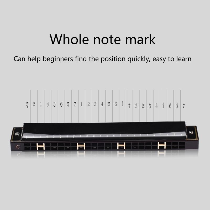 24-Hole Professional Harmonica for Beginners, Diatonic Double Tremolo Harmonica for Adults Music Student Teacher Gift