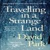 Travelling In a Strange Land by David Park Paperback Book 9781408892756