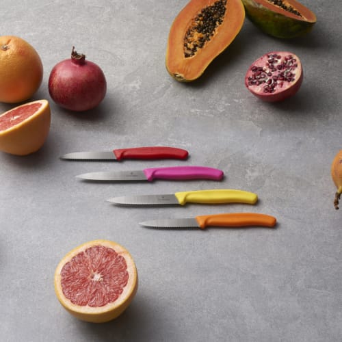 VICTORINOX Dishwasher-Safe 4-Piece Petty Knife Set with Serrated Edges, Multicolored Design, Perfect for Slicing Ripe Fruit and Bread Without Crushing