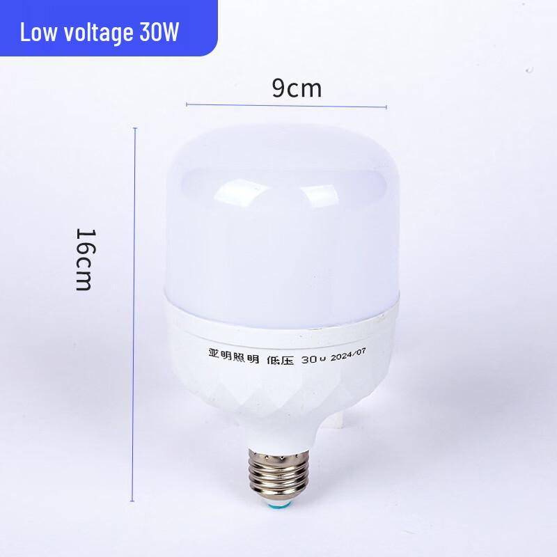 

Industrial Waterproof 30W Low Voltage LED Bulb