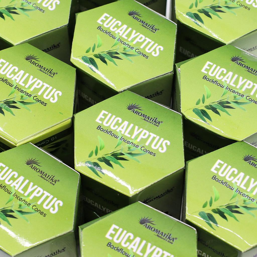 6x Eucalyptus Backflow Incense Cones Pack of 10 Masala