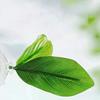 1 Pc Green Leaf Hammock For Betta Fish Stress-Reducing Aquarium-Safe Decor With Suction Cup For Fish Tank Fake Plants Decoration