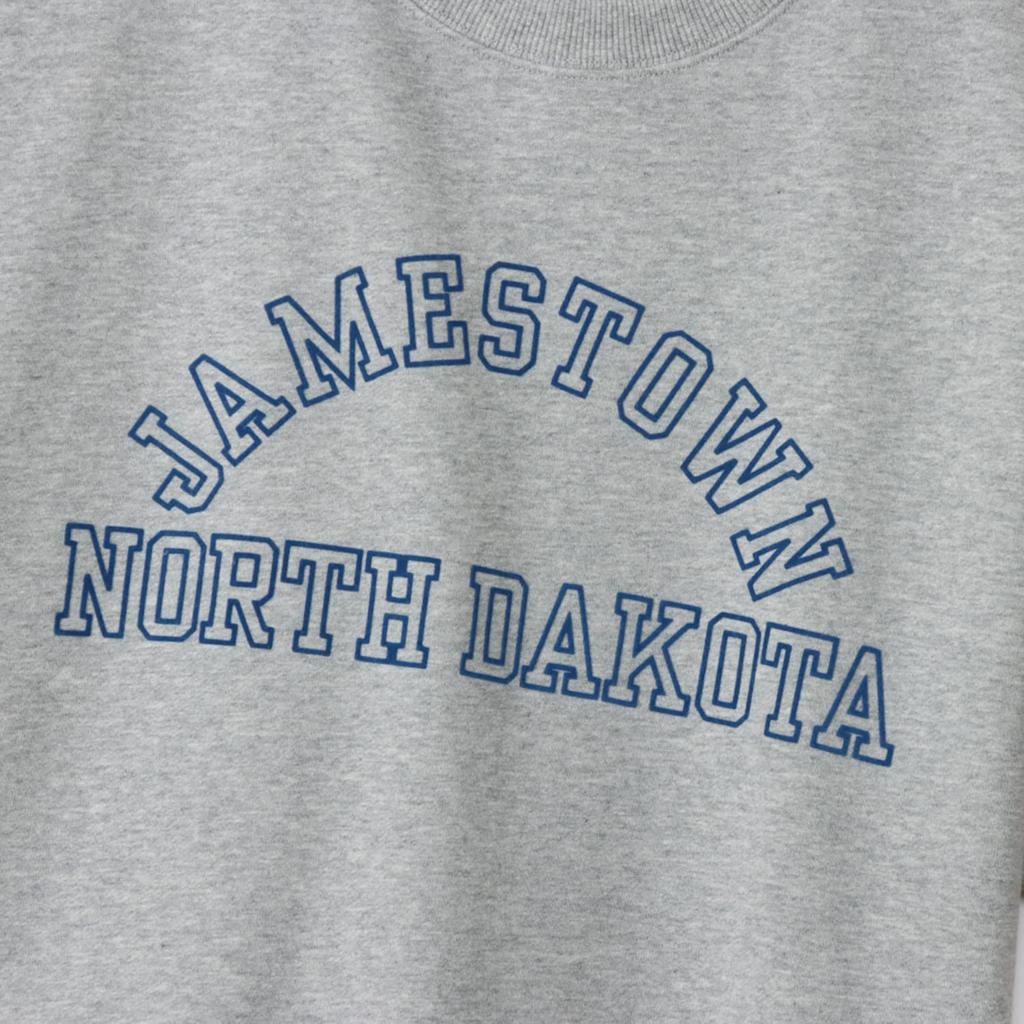 Champion Short Sleeve Crew Neck Oxford Size USA Collegiate Graphic Print Men's Sweatshirt, Basic, Gray, M, C3-X017, Cotton, Fleece,
