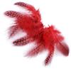 100PCS Natural Guinea Fowl Pheasant Feathers Natural Feathers Spotted 5-8cm Feathers for Crafts Dream Catcher Plume Decoration