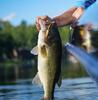 Rapala Floating Joint J13 13cm 18g