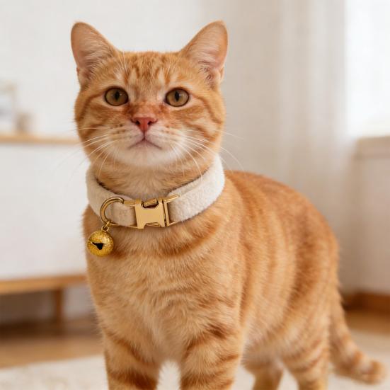 קולר חתול מתכוונן קולר חיות מחמד רך עם פעמון נשלף קולר חיות מחמד בצבע אחיד לכלבים קטנים חתולים גורים טיולים בחוץ בטיחות