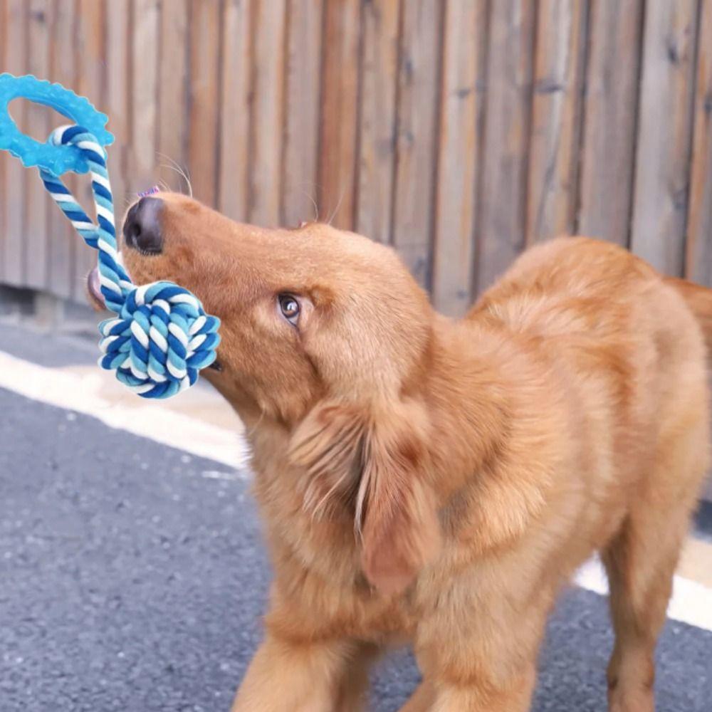 

Bite Resistant Dog Toys Rope Balls TPR/Cotton Rope Dog Pulls Interactive Rope Toy Teeth Cleaning random color