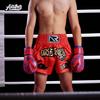 MMA Training Shorts Muay Thai Boxing Kickboxing Sanda Camp Gym Workout Men Women Neutral Fit