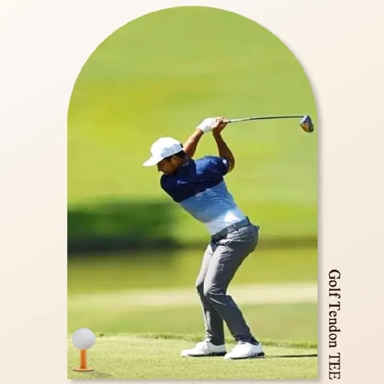 10Pcs Light Weight Rubber Golfing Tees Holder for Outdoor Indoor Hitting Mat Training Driving Ranges Golfing Tees