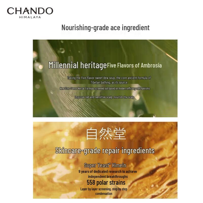 CHANDO Volumizing & Strengthening Scalp Care Shampoo