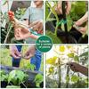 Garden Cable Ties Reusable Plant Vine Tree Shrubs Support Fastener Locking Nylon Adjustable Zipper Cables Ties Organizer Tools