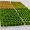104Pcs 5mm Grass Cluster Miniature Building Model for Sand Table Simulation Flower Grass Scene DIY Scenario Material