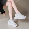 Spring/Autumn Round Head Shallow Mouth Lace-up Non-slip Casual Sneakers Fashionable New Sexy Thick-soled Walking Shoes for Women