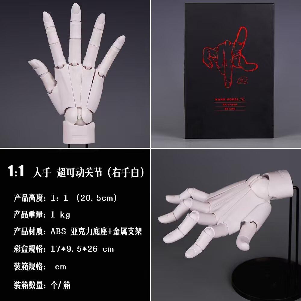 Super Movable 1:1 Hand Model, Finger Joint, Bionic, Painting Plain Art, Model Ornament Boxed Figure