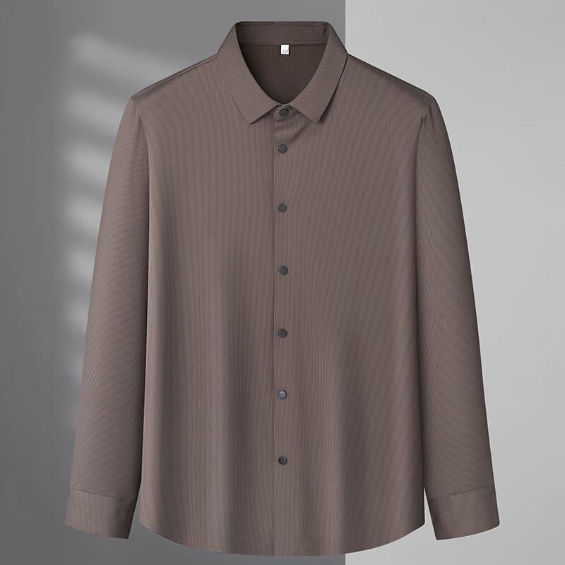 Men's Plus Size Wrinkle-Resistant Long Sleeve Shirt
