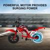 Kids Electric Dirt Bike C6,12'' 300W Brushless Motor,3-Speed LCD,16km/h,LED Controller,Moto Sound,12km Range,Electric Motorcycle for Childer