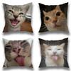 Funny Cat Meme Pillow Case Square Double-Sided Printing Short Plush Sofa Cushion Cover Bedroom Bedside Pillow