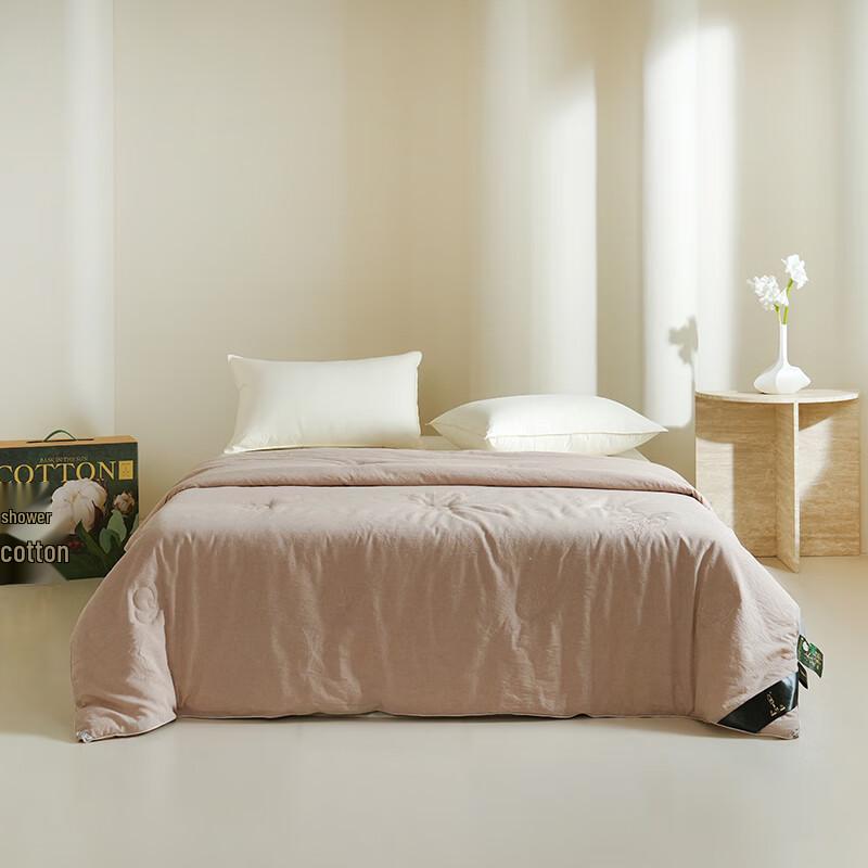 

ZMN French Morning Light 100% Cotton Embroidered Winter Quilt - Parks