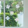 6Pcs Rainbow Suncatcher Window Clings Anti Collision Window Stickers Decals for Birds